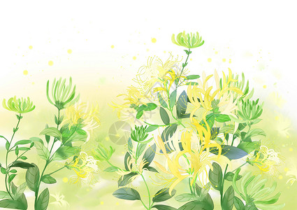 金银花背景图片