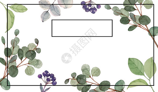 小清新花草装饰植物边框背景插画