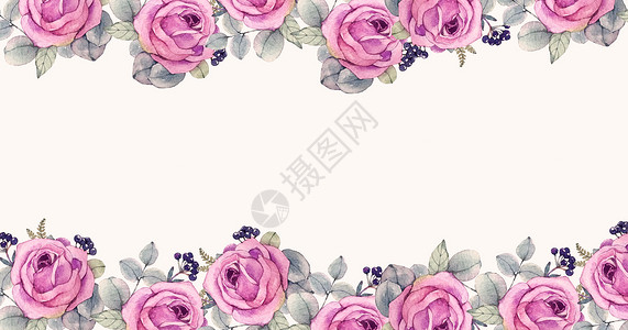 粉色植物边框花卉插画