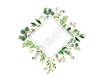 清新绿植边框花卉背景素材插画