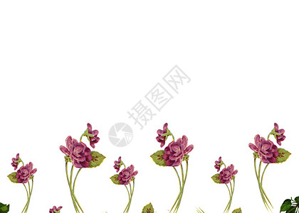 节日花草装饰手绘花卉二分之一留白插画