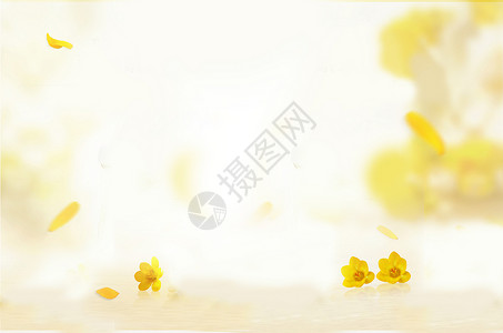 黄色清新花背景图片