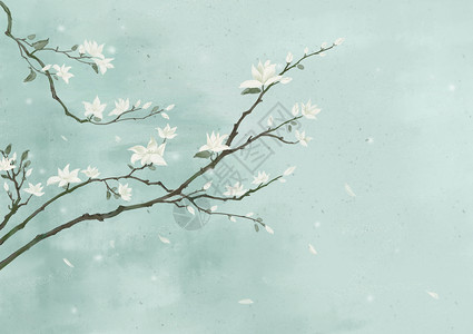 手绘白色花卉中国风唯美水彩背景插画
