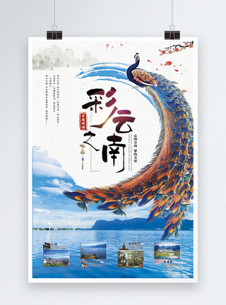 孔雀雕塑彩云之南云南旅游海报模板
