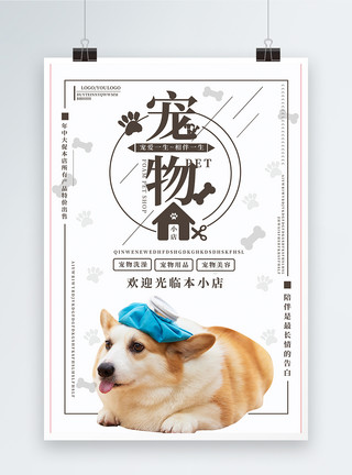 牛头犬宠物之家萌宠海报模板