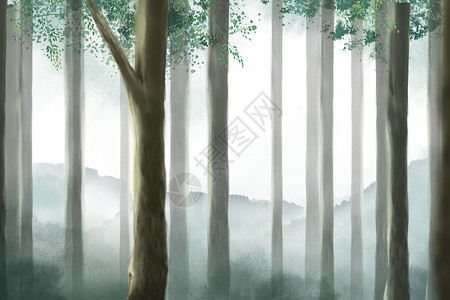 森林树晨雾迷雾森林插画