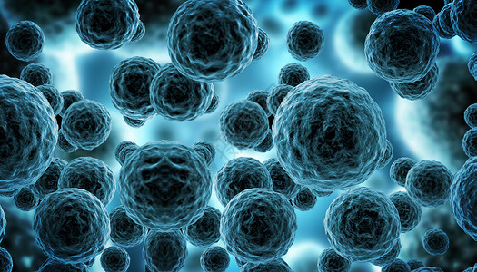 细胞真菌生物结构高清图片