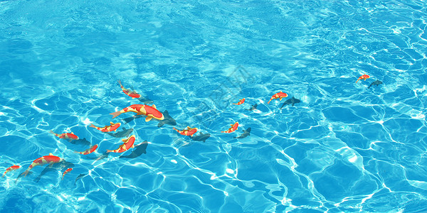 清晰纹理夏季清澈水中游过的鱼插画