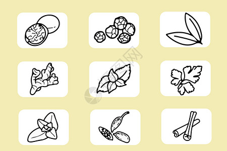 薄荷植物香料图标插画