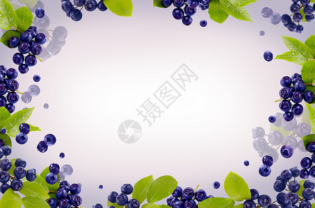 高清蓝莓素材水果背景设计图片