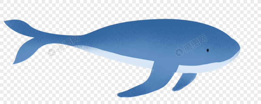 蓝色鲸鱼图片