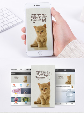 动物banner宠物生活手机海报配图模板