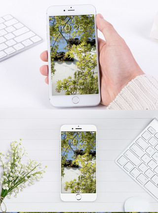 绿色枫叶风景手机壁纸模板