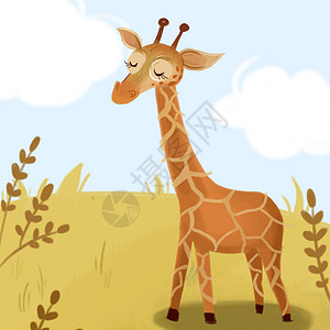 草地上长颈鹿长颈鹿插画