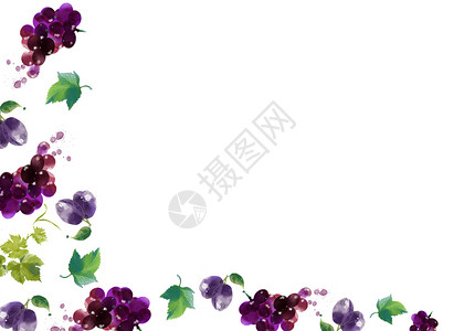 紫色葡萄边框葡萄手绘水彩二分之一留白插画
