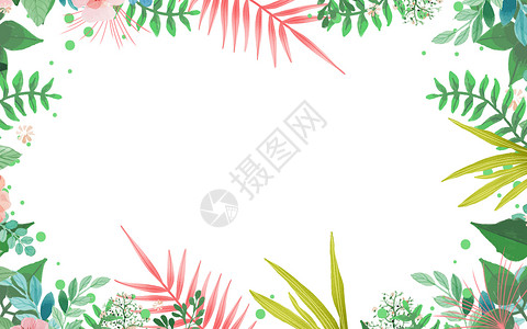 夏季热带植物背景背景图片