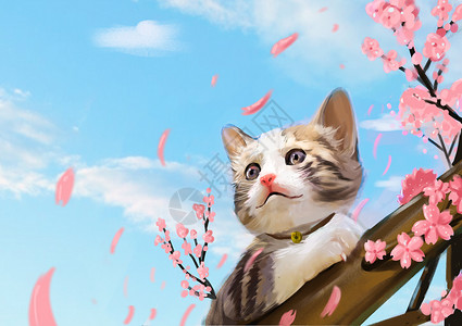 猫和樱花插画