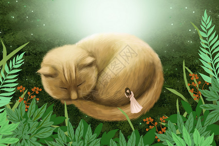 素材萌猫夏眠插画