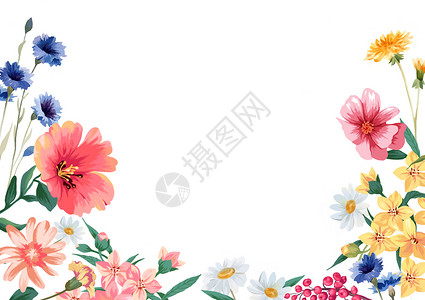 桃花标签边框手绘小雏菊绿植背景素材插画