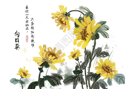 西宁植物园向日葵插画