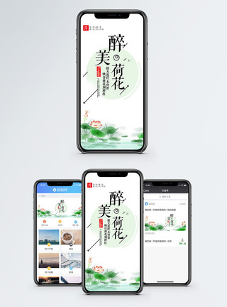 接天莲叶荷花手机海报配图模板