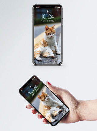 瘫坐的猫猫手机壁纸模板