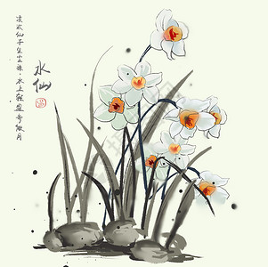 手绘水仙花卉水仙插画