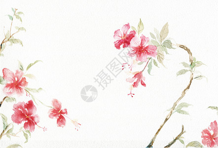水彩花卉背景图片