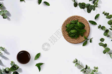 银杏树与绿色植物茶与饮食健康桌面背景设计图片