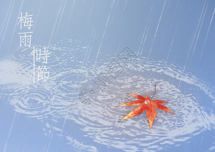 黄梅雨梅雨时节插画