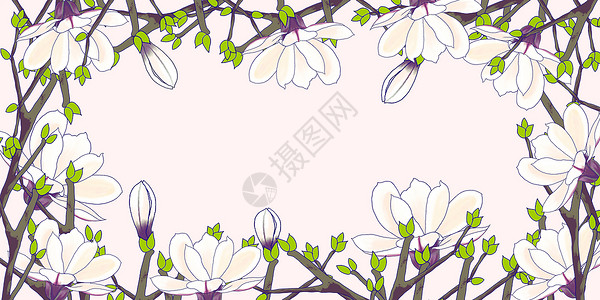时尚花卉边框背景插画图片
