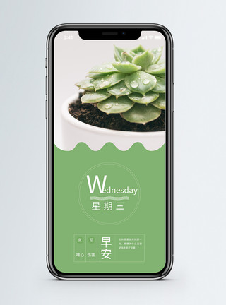 绿色小清新鲜花绿色叶子星期三手机海报配图模板