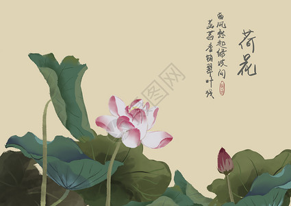 清凉图图片免费荷花插画