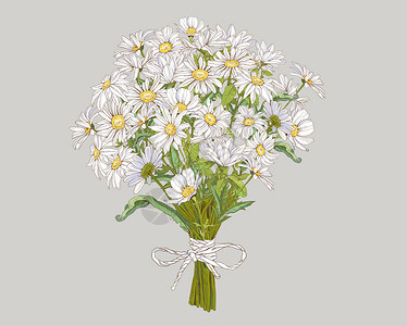 白色花束花儿插画