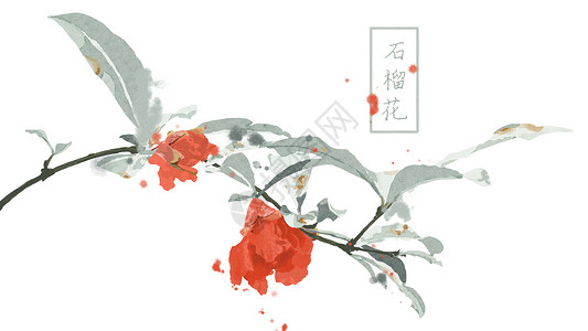 中国风花卉背景中国风手绘石榴花插画插画