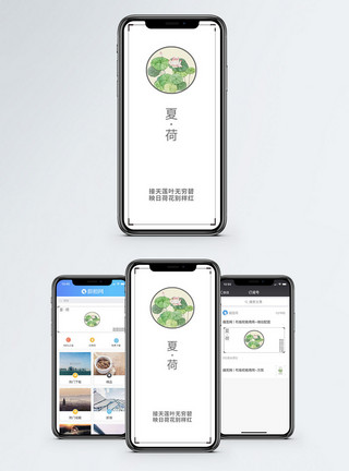 接天莲叶夏日荷花文艺小清新手机配图模板