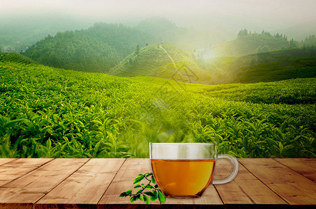 一杯绿茶清新绿茶背景设计图片