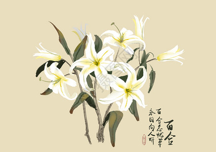 百合背景图片