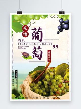 水果店葡萄采摘葡萄水果海报模板