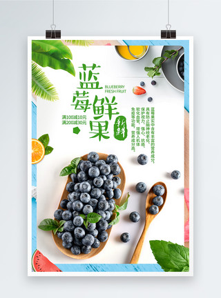 蓝莓水果插画蓝莓鲜果海报设计模板