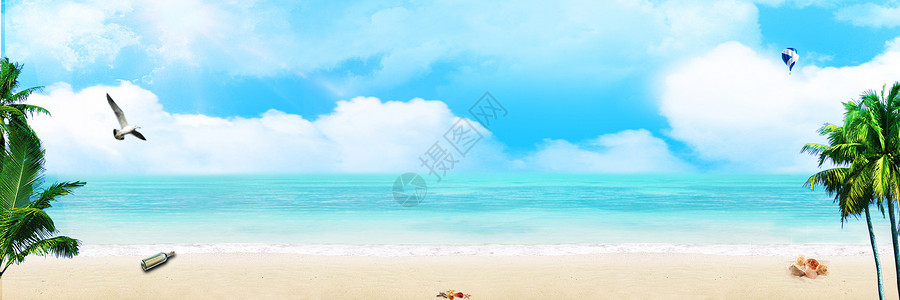 海岸椰树海洋清新背景设计图片