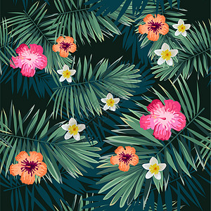 热带雨林花卉叶子背景图片