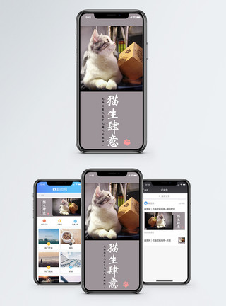 虎斑小猫咪萌宠手机海报配图模板