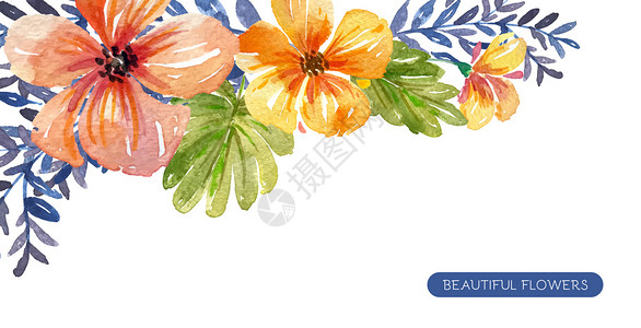 相框png花卉背景元素插画