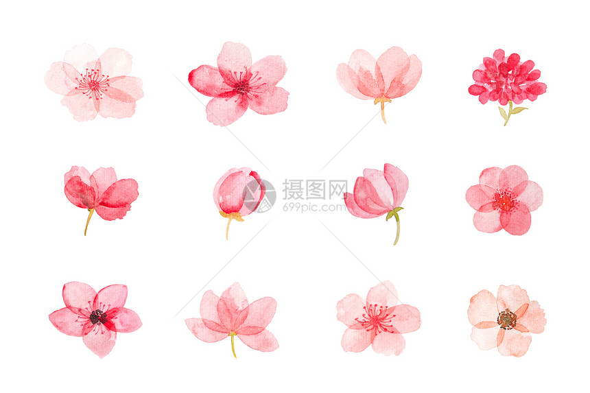 花卉元素图片