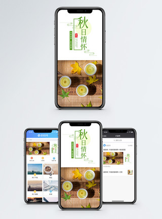 金秋活动秋日情怀秋天手机海报配图模板