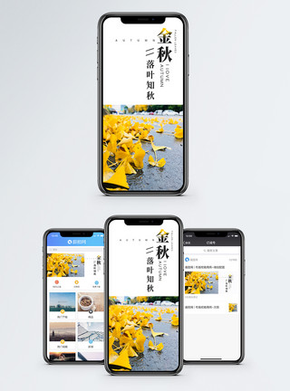 金秋落叶知秋手机海报配图模板