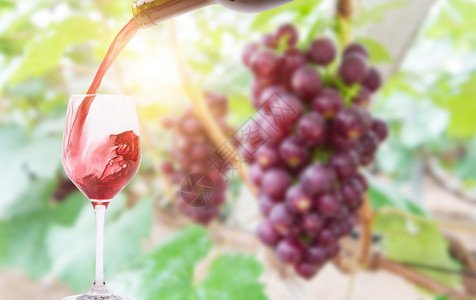 巨峰葡萄素材红酒庄园背景设计图片