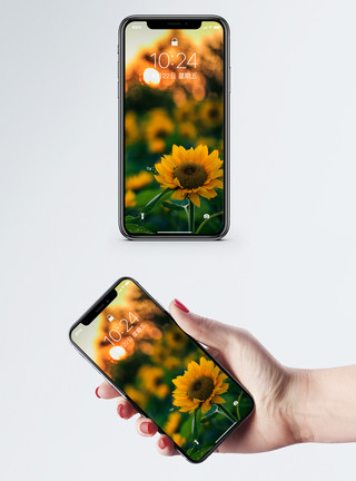 希望之花绣球花向日葵手机壁纸模板