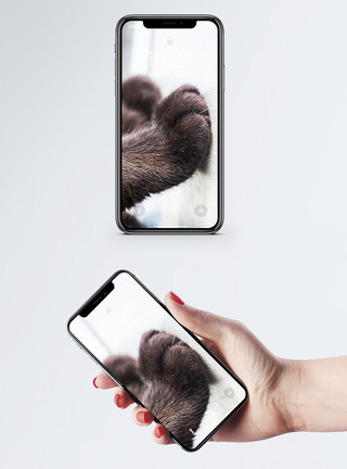 两只黑猫爪手机海报模板